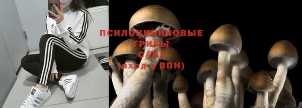герыч Бородино