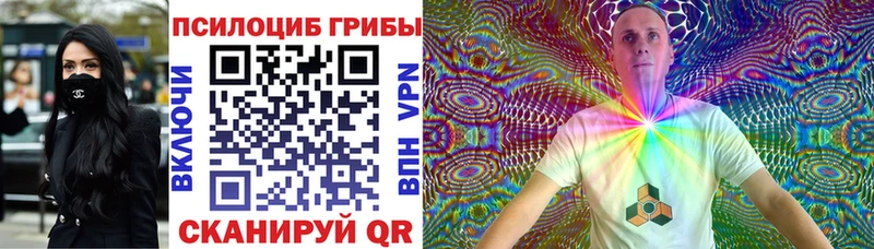 Галлюциногенные грибы MAGIC MUSHROOMS  где купить наркоту  Верхний Тагил 